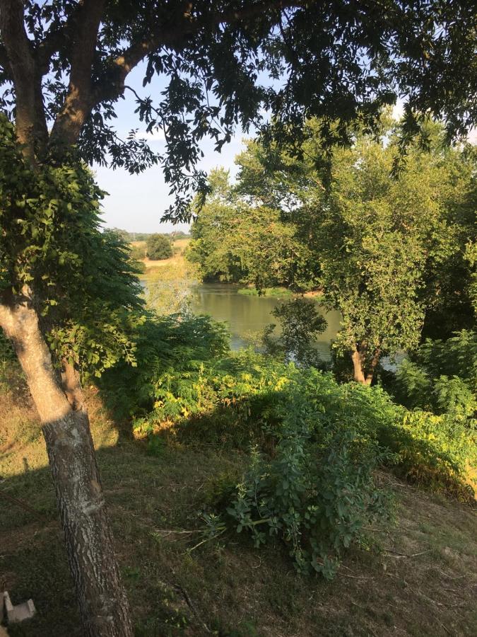 The Perry Riverhouse Bastrop Bagian luar foto